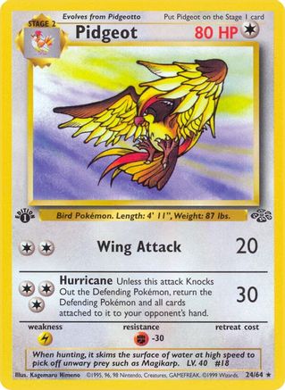 Pidgeot (24) 024/64 [Jungle]  - 1st Edition