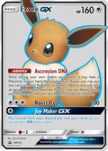Eevee GX SM242 [SM Promos]  - Holofoil