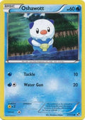 Oshawott 027/114 [Alternate Art Promos]  - Holofoil