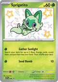 Sprigatito 076 [SV Scarlet & Violet Promo Cards]  - Holofoil