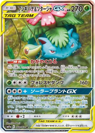 Venusaur & Snivy GX - 066/064 (066/064) [JP SM11a Remix Bout] Holofoil