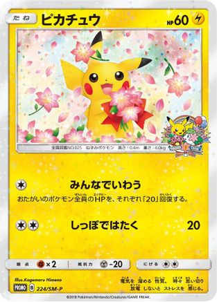 Pikachu - 224/SM-P (224/SM-P) [JP SMP Sun  Moon Promos]