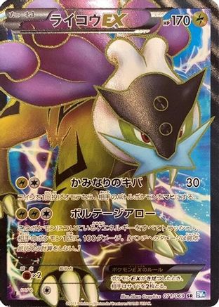 Raikou EX - 071/069 (071/069) [JP BW4 Dark Rush] 1st Edition Holofoil