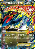 Salamence - 257/XY-P (257/XY-P) [JP XYP XY Promos] Holofoil