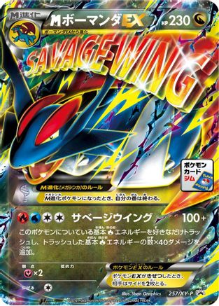 Salamence - 257/XY-P (257/XY-P) [JP XYP XY Promos] Holofoil