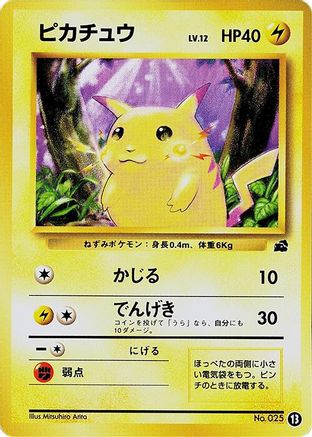 Pikachu - 13 (13) [JP Intro Pack Bulbasaur]