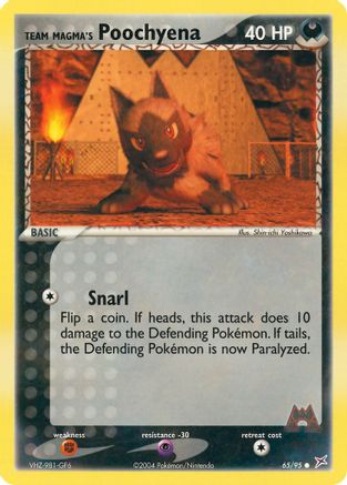 Team Magma's Poochyena 065/95 [Team Magma vs Team Aqua]  - Reverse Holofoil