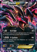 Yveltal EX 079/146 [XY Base Set]  - Holofoil